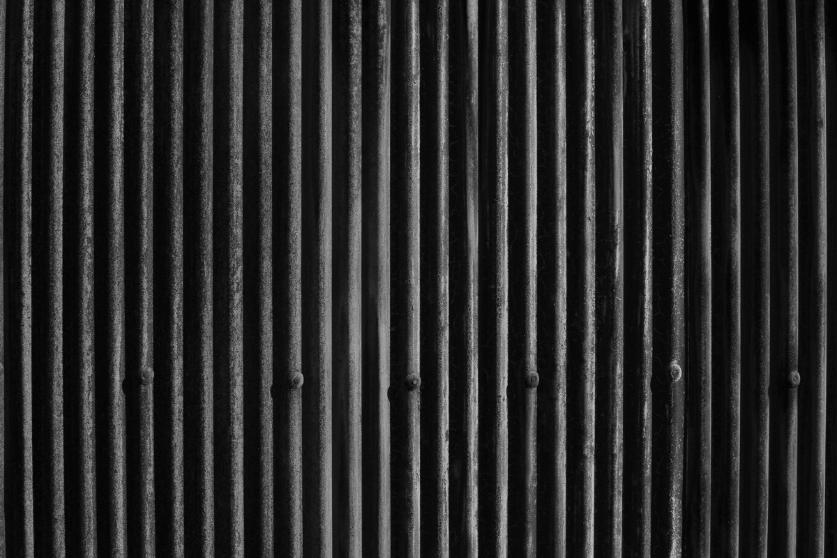 img_2645m.jpg